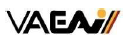 VAEAI Logo